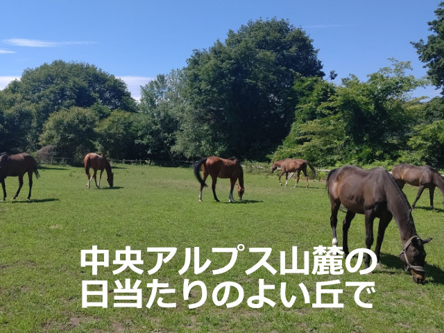中央アルプス山麓の日当たりのよい丘で