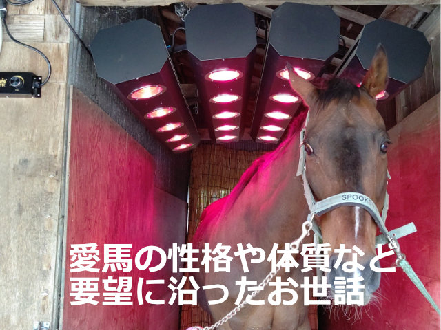 愛馬の性格や体質など要望にそったお世話