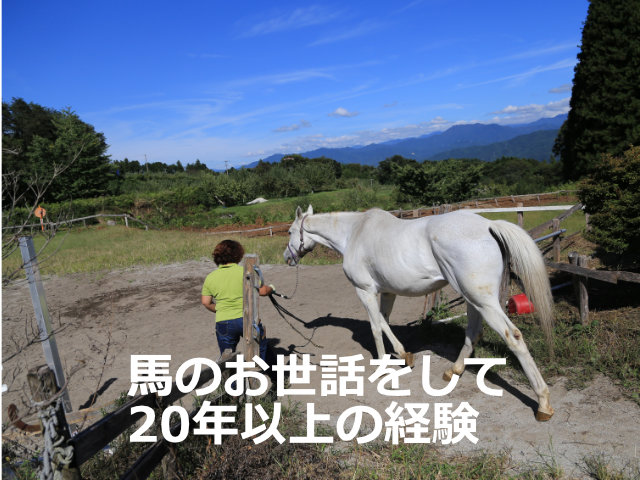 馬のお世話をして20年以上の経験
